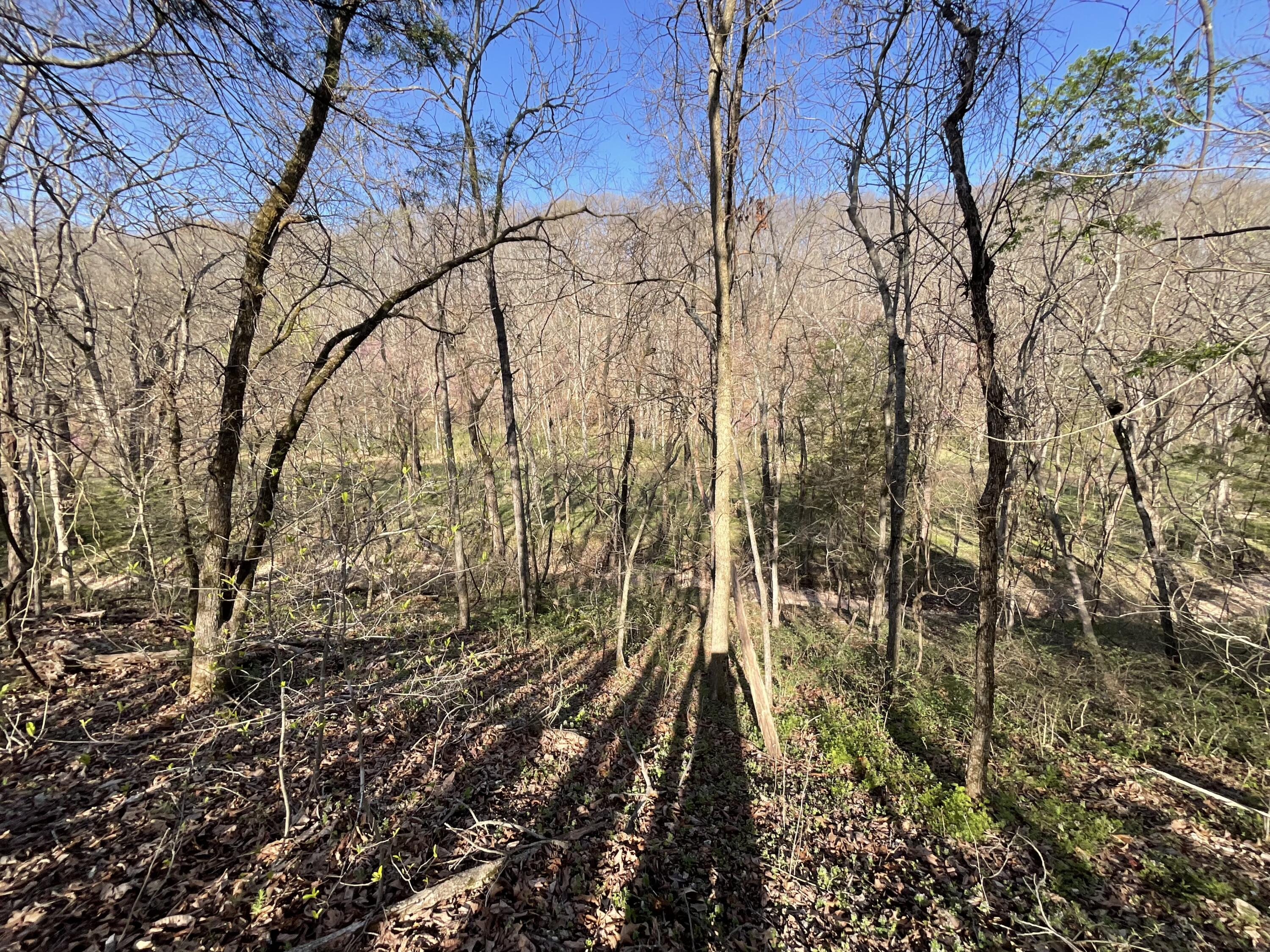 000 Brush Creek Road Property Photo 6