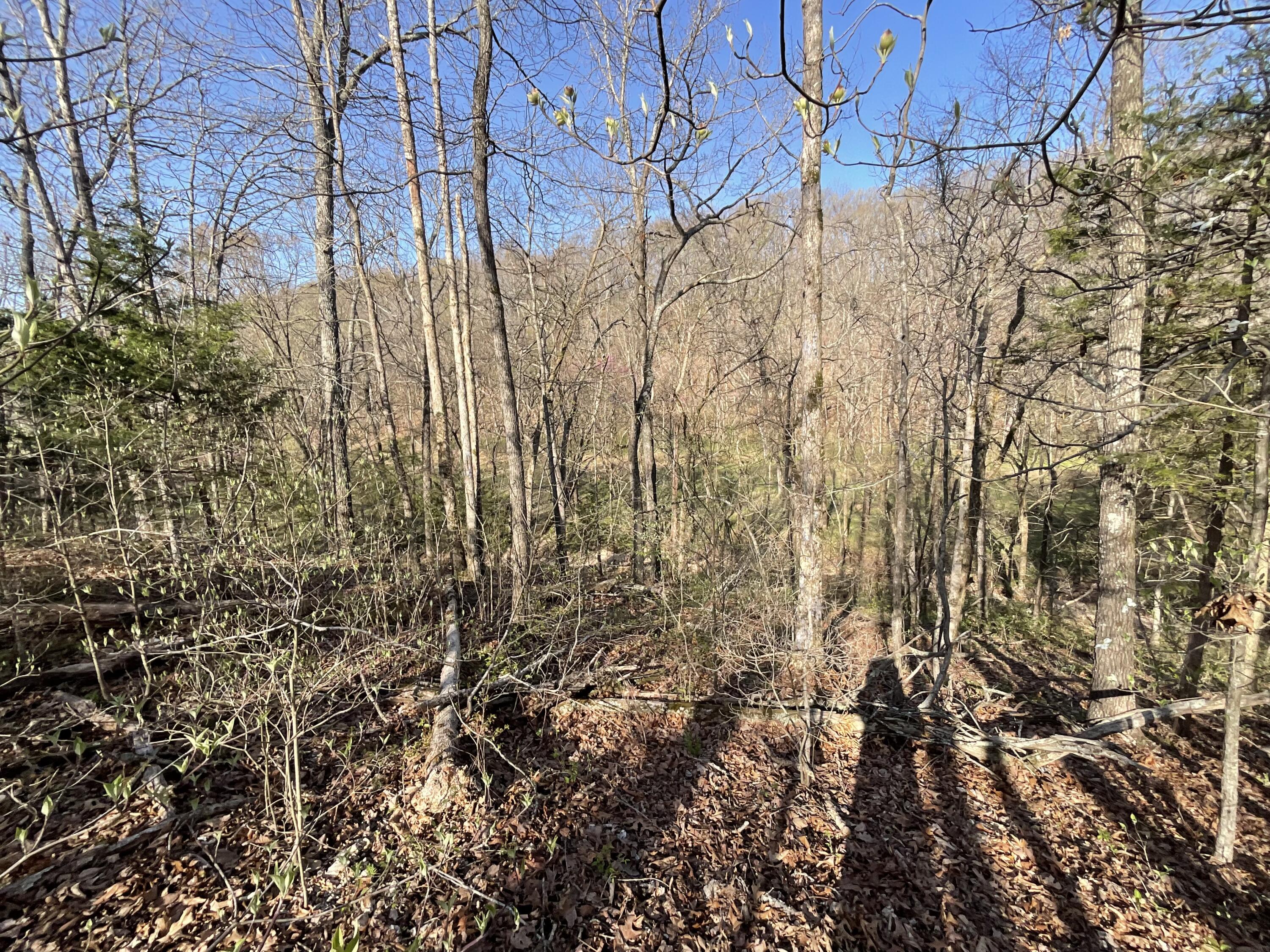 000 Brush Creek Road Property Photo 9