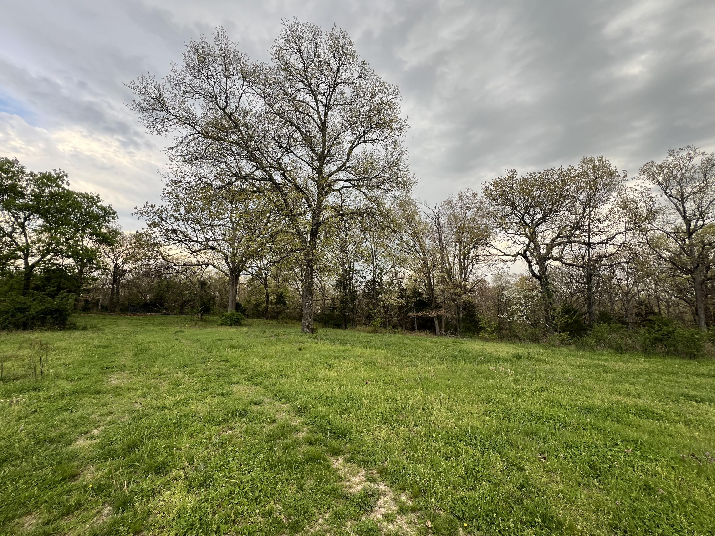 368 O Highway Property Photo 5