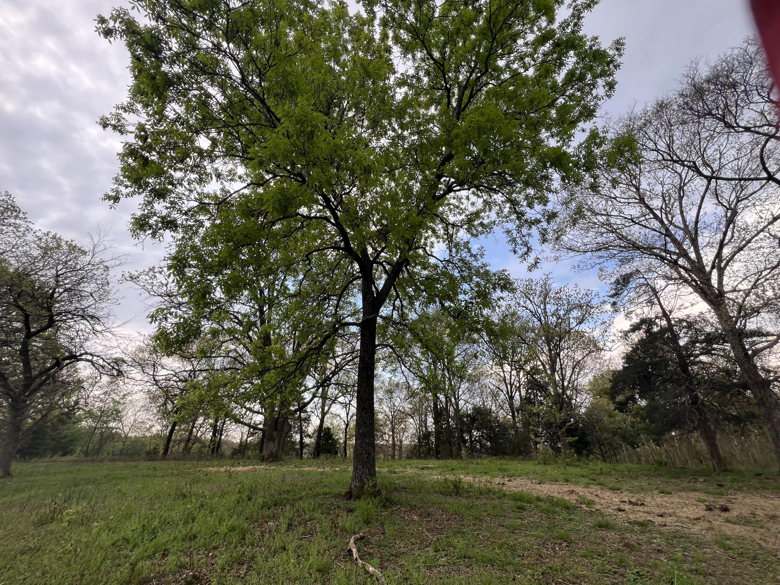 368 O Highway Property Photo 8