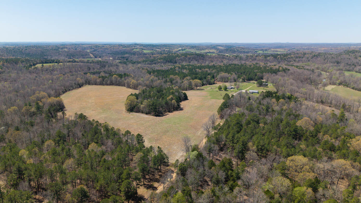 1742 Flora Church Property Photo