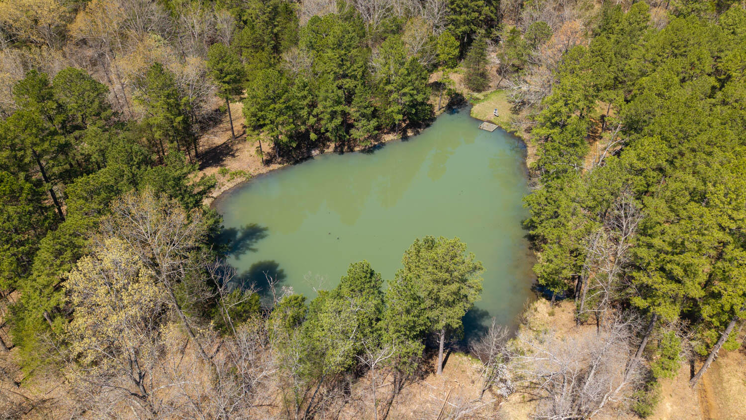 1742 Flora Church Property Photo 23