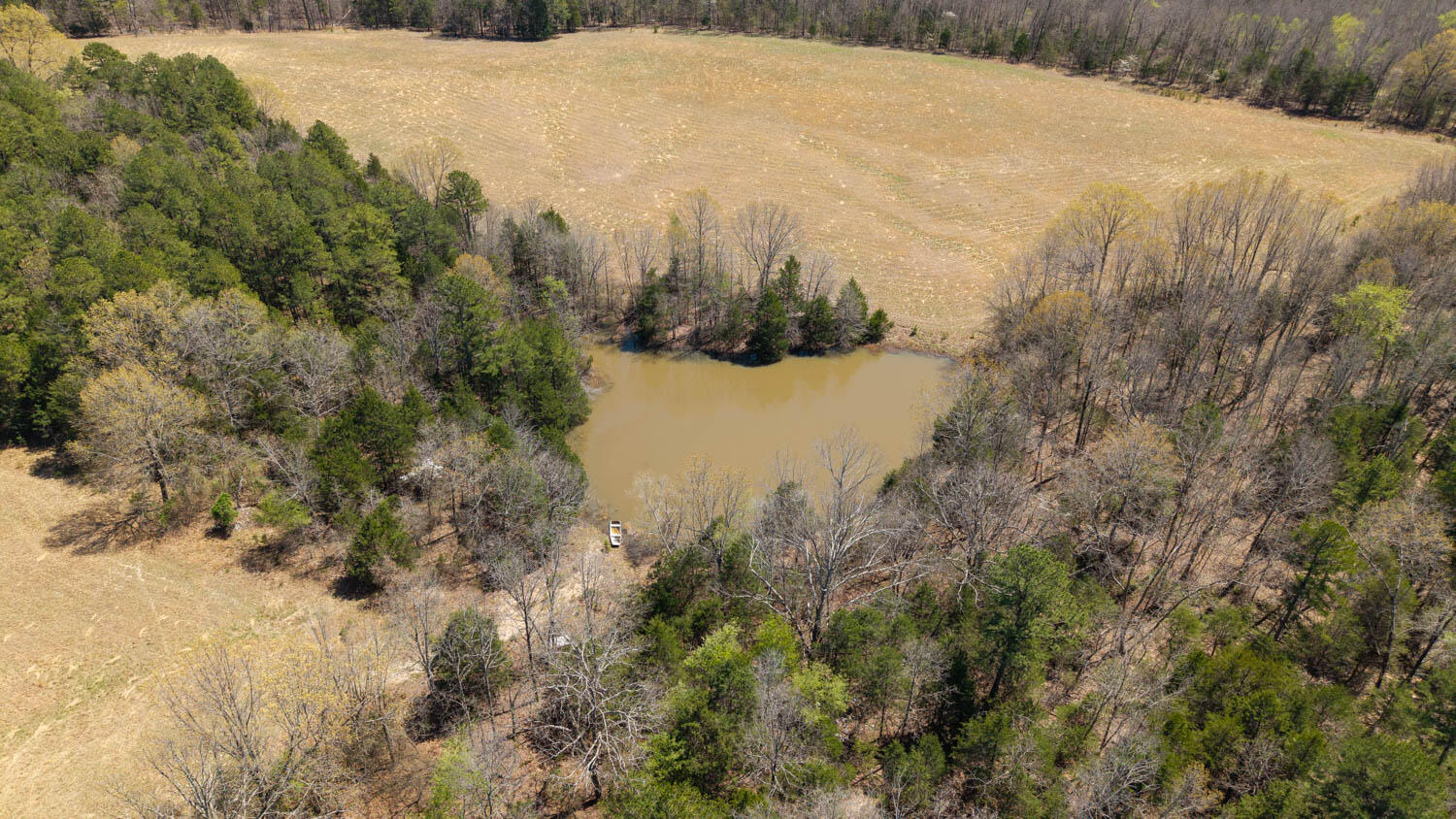 1742 Flora Church Property Photo 25