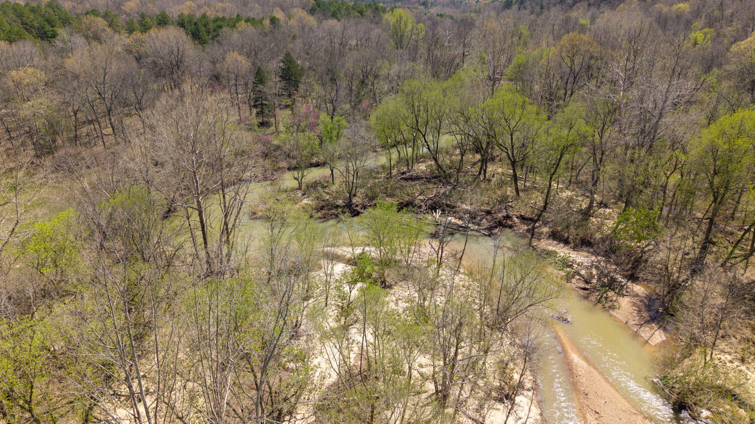 1742 Flora Church Property Photo 33