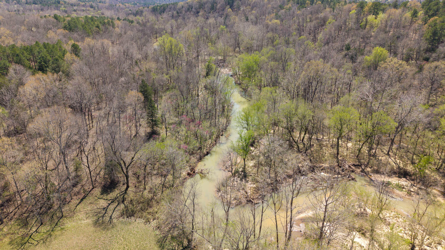 1742 Flora Church Property Photo 34