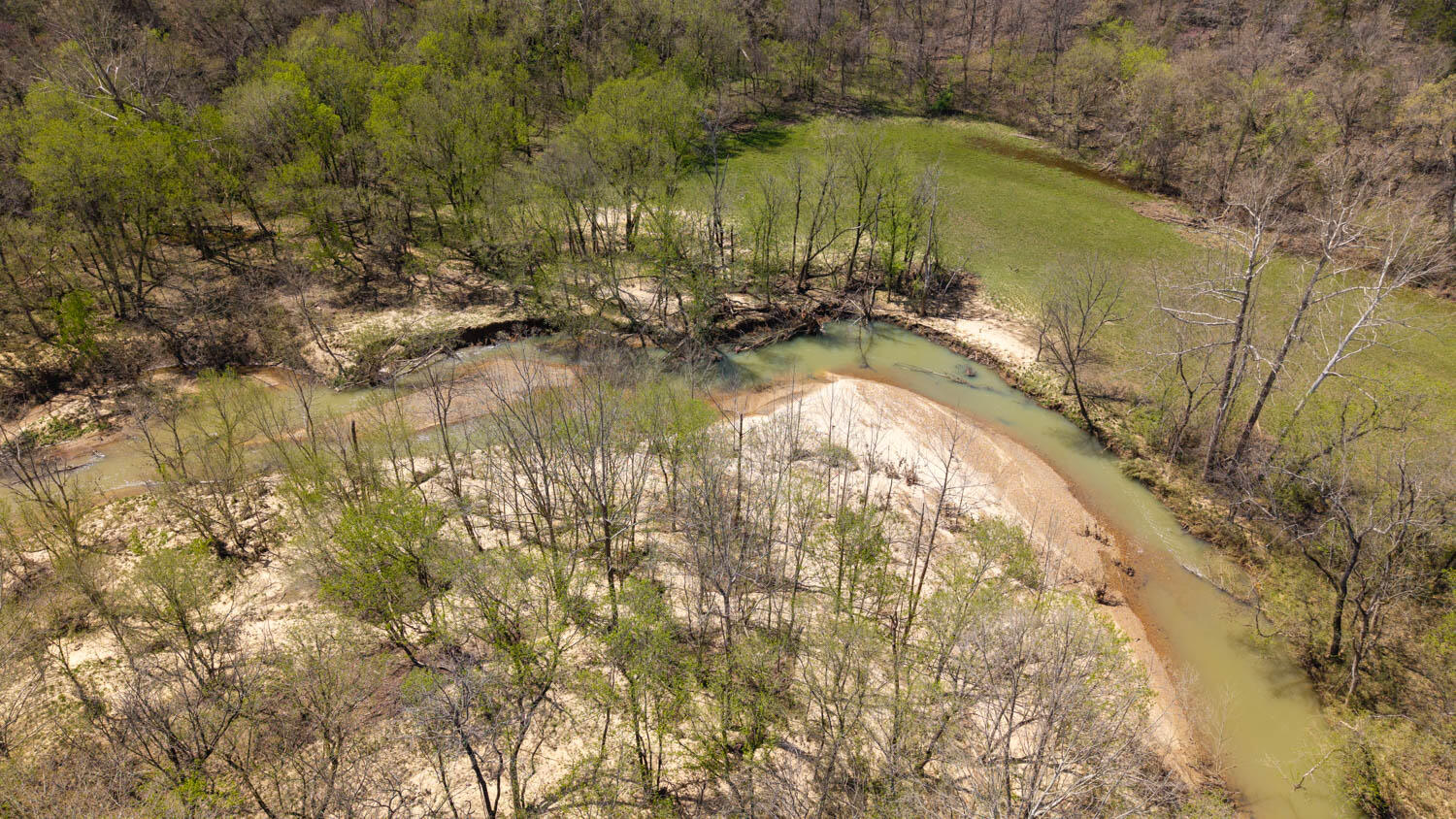 1742 Flora Church Property Photo 35