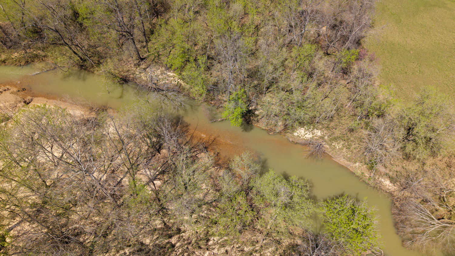 1742 Flora Church Property Photo 36