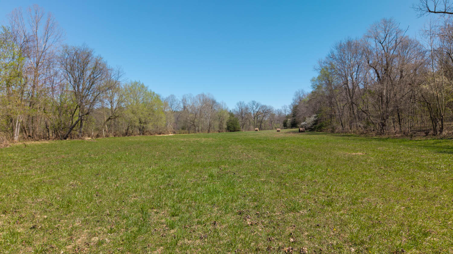 1742 Flora Church Property Photo 38