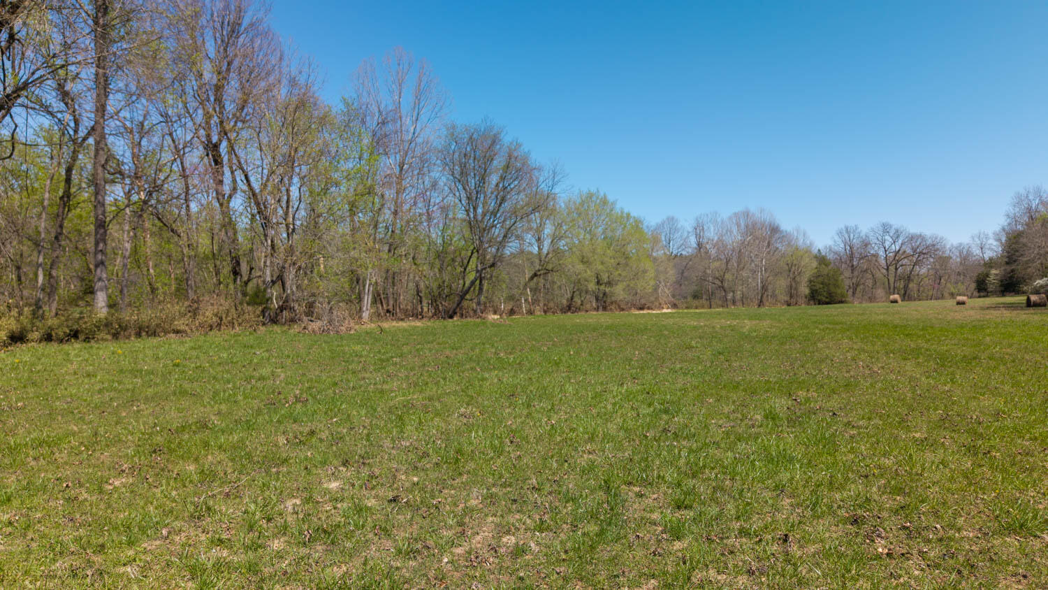 1742 Flora Church Property Photo 39