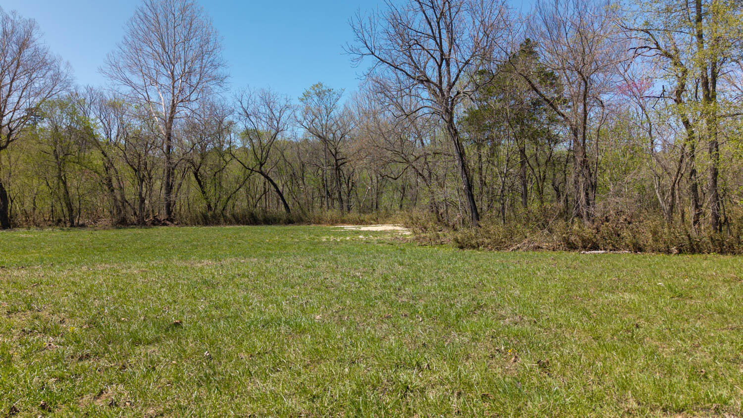 1742 Flora Church Property Photo 40