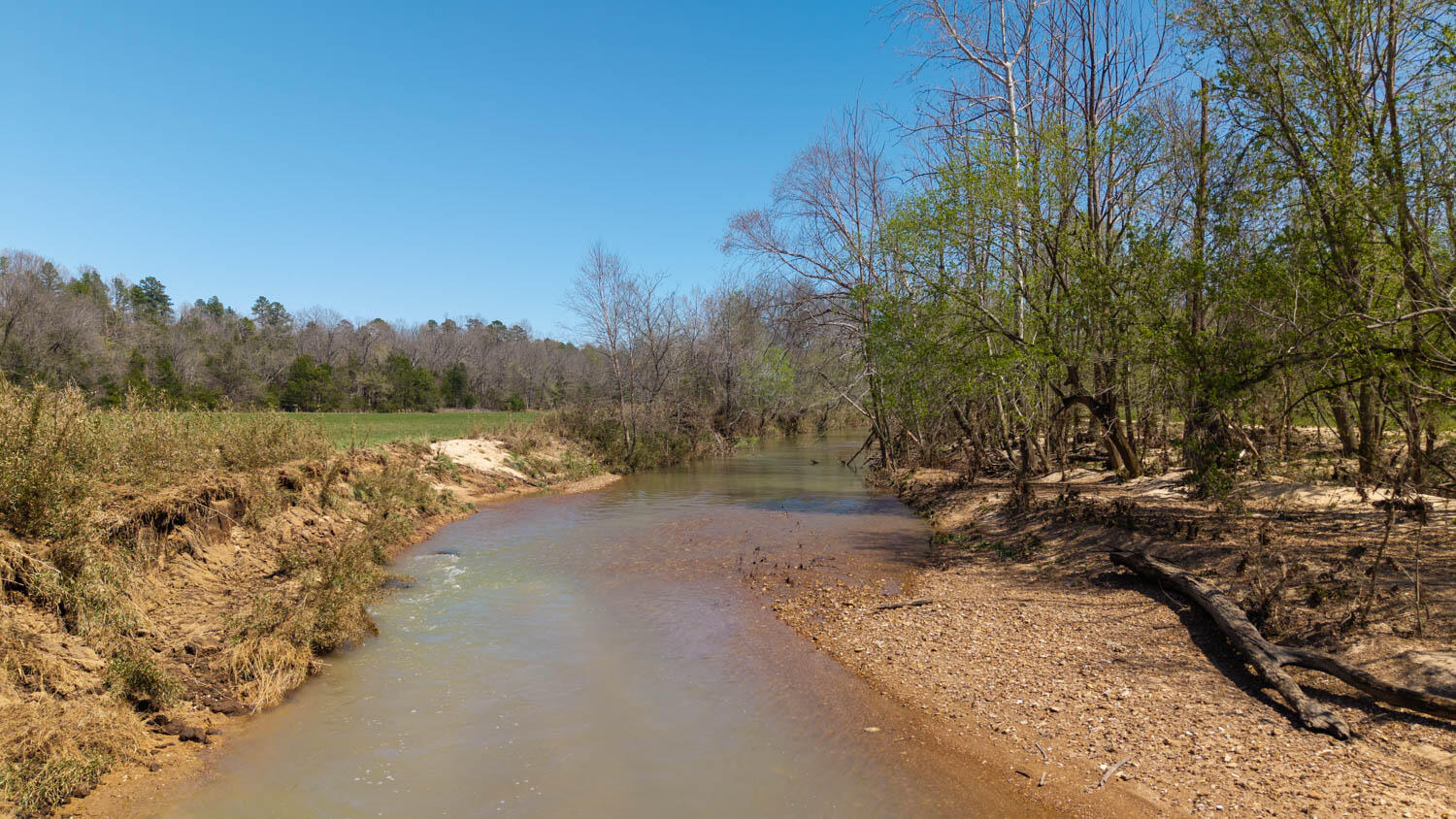 1742 Flora Church Property Photo 46