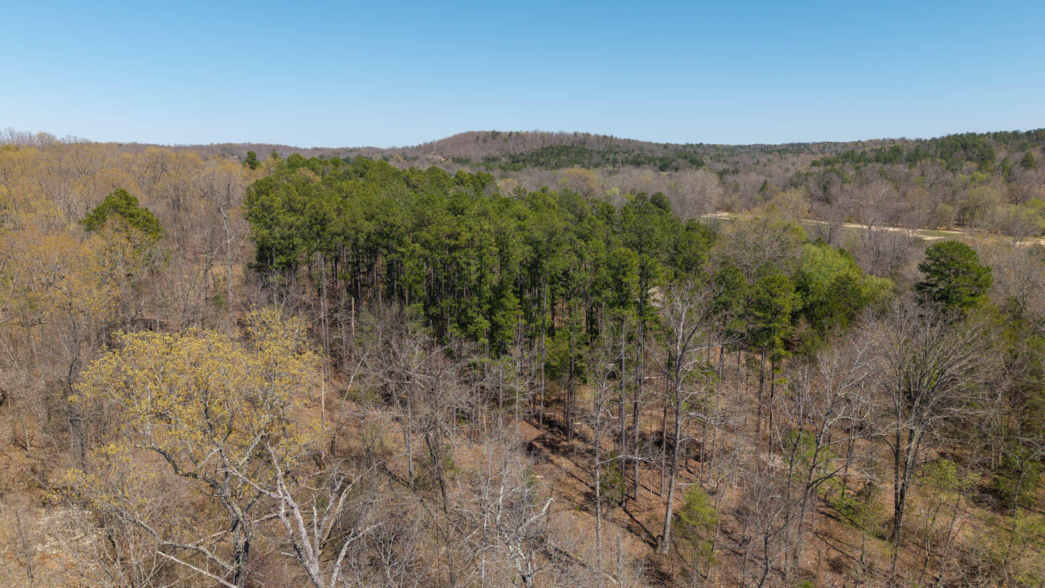 1742 Flora Church Property Photo 48