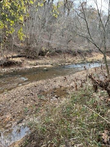 1742 Flora Church Property Photo 50