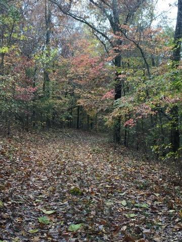 1742 Flora Church Property Photo 56