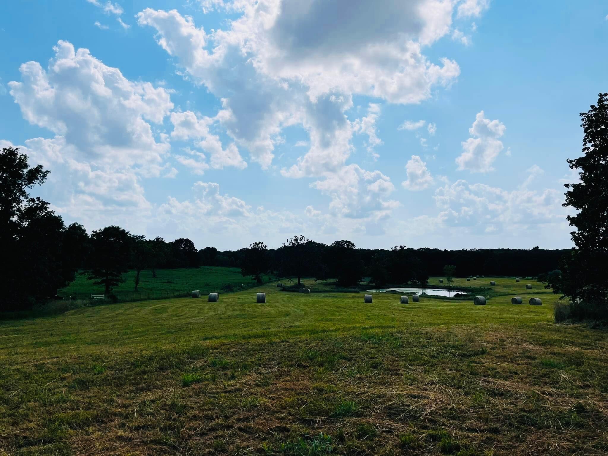 4720 Highway 95 Property Photo 51