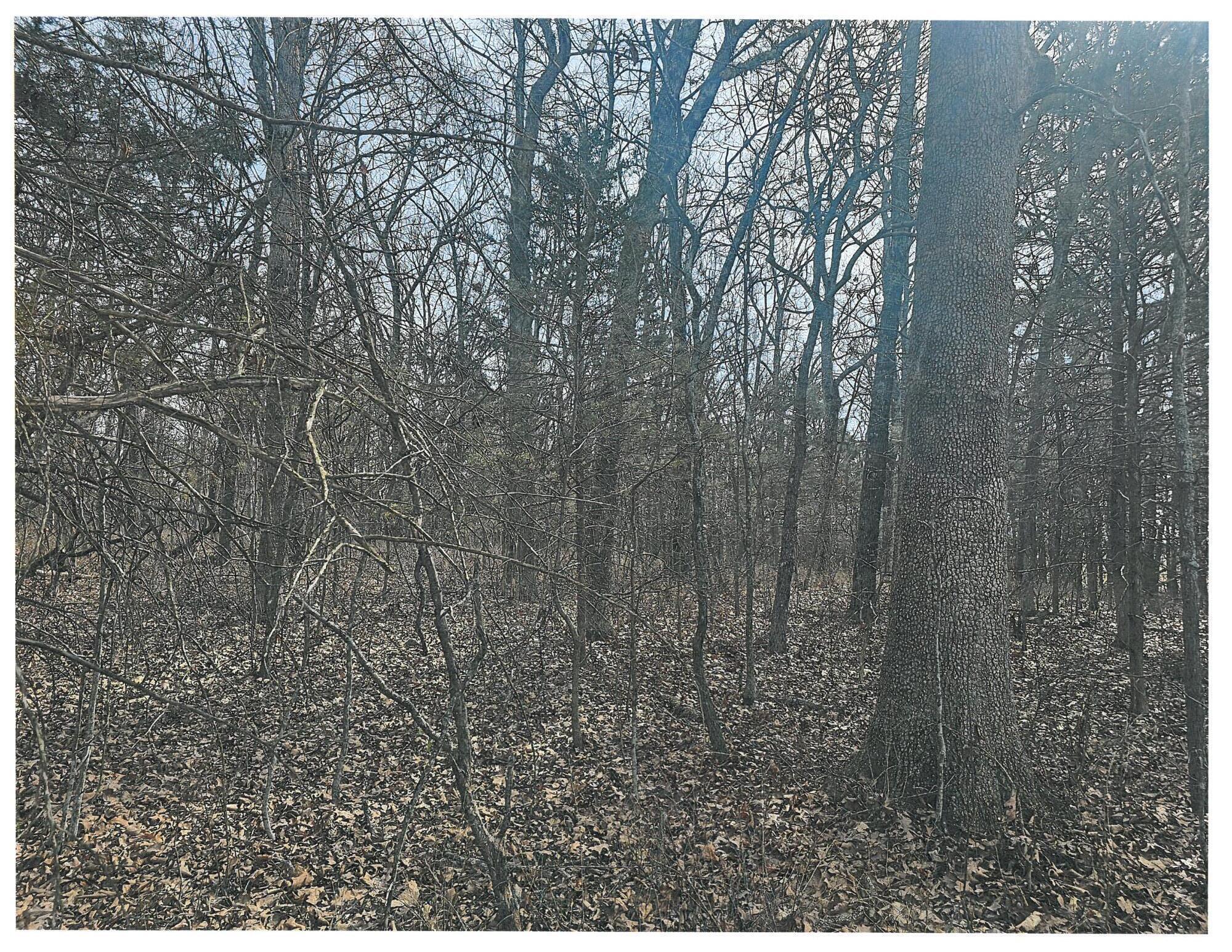 000 Pomme De Terre Road Property Photo 1