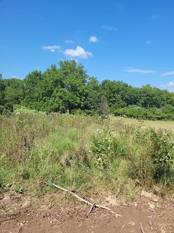 Tbd Tr 2 North Farm Rd 215 Property Photo 1