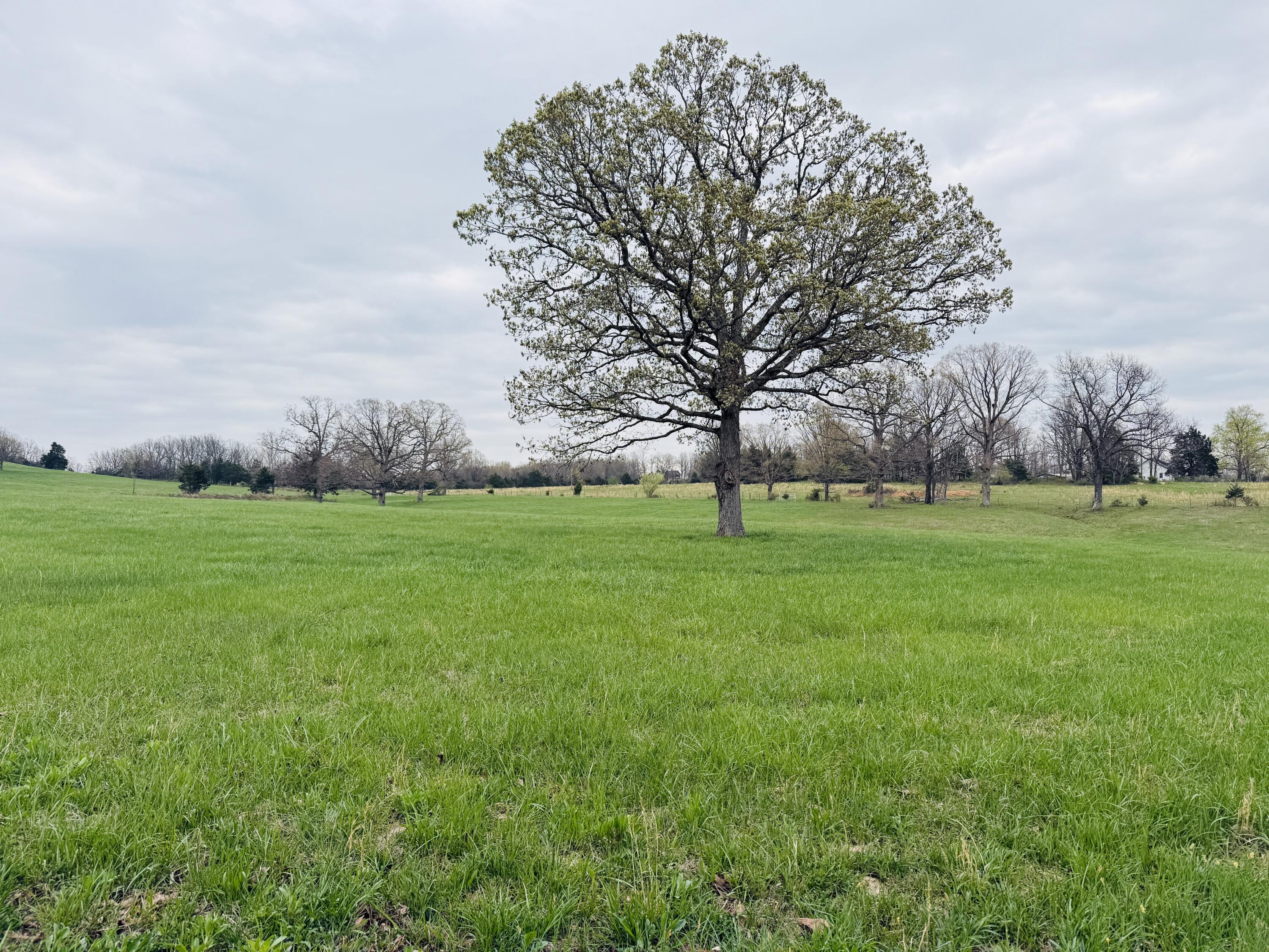4720 Highway 95 Property Photo 56