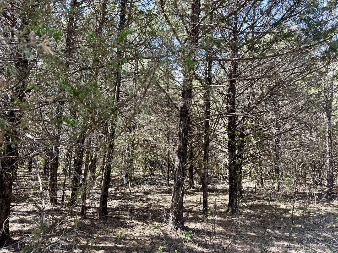 000 East 508th Road Property Photo 12