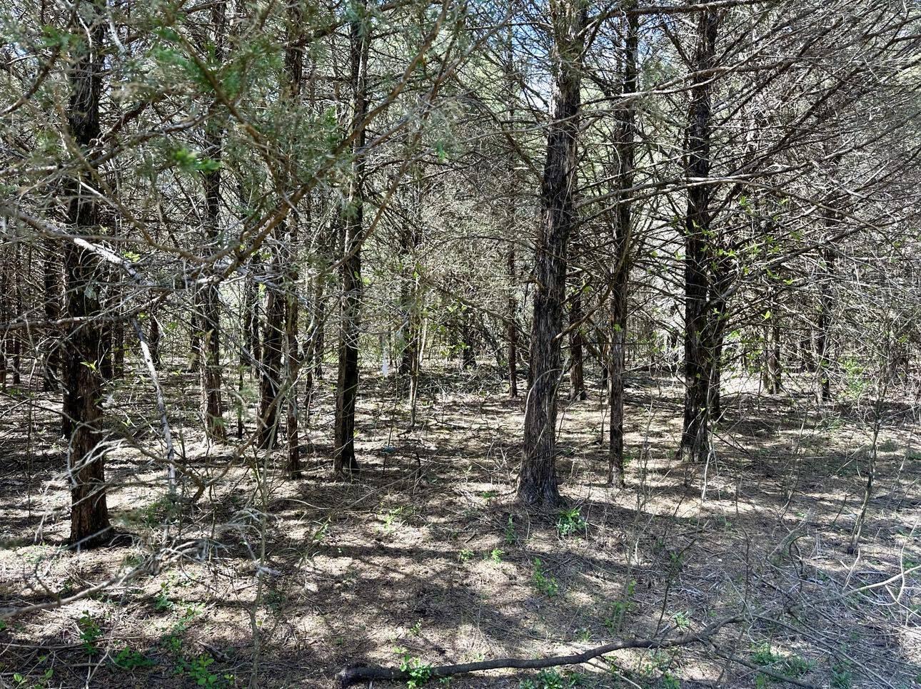 000 East 508th Road Property Photo 13