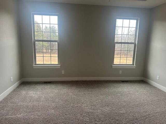 235 Sandy Forest Lane Property Photo 29