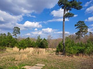 8090 Timber Hill Road Property Photo 5