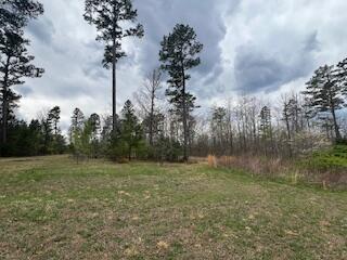 8090 Timber Hill Road Property Photo 46