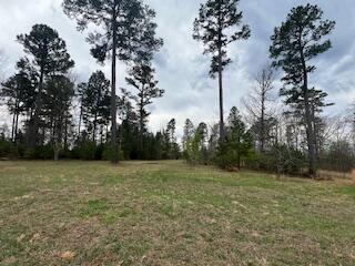 8090 Timber Hill Road Property Photo 47