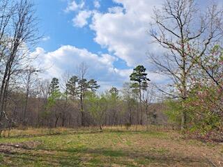 8090 Timber Hill Road Property Photo 50