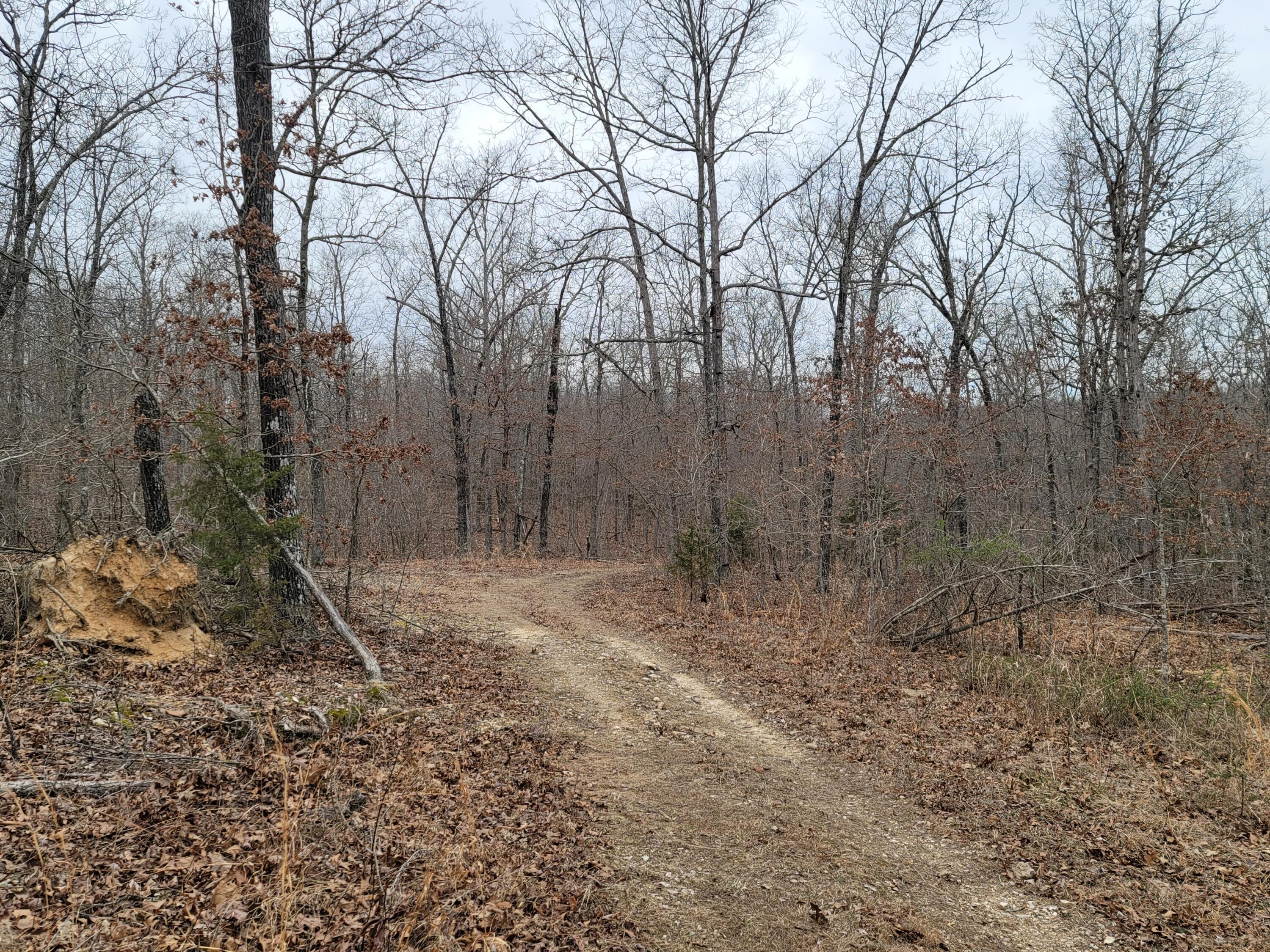 000 Ledgewood Rd Property Photo 1