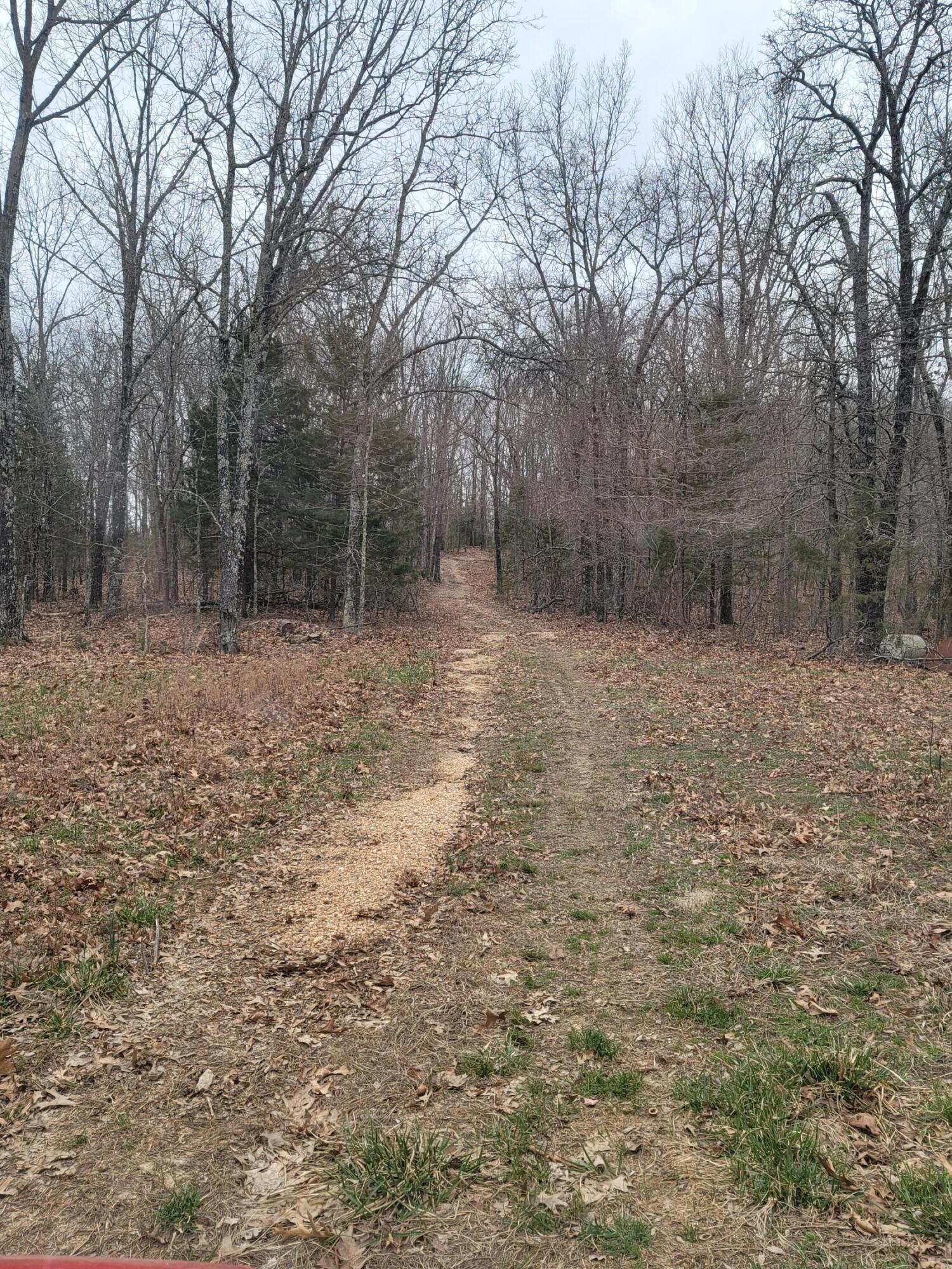 000 Ledgewood Rd Property Photo 2