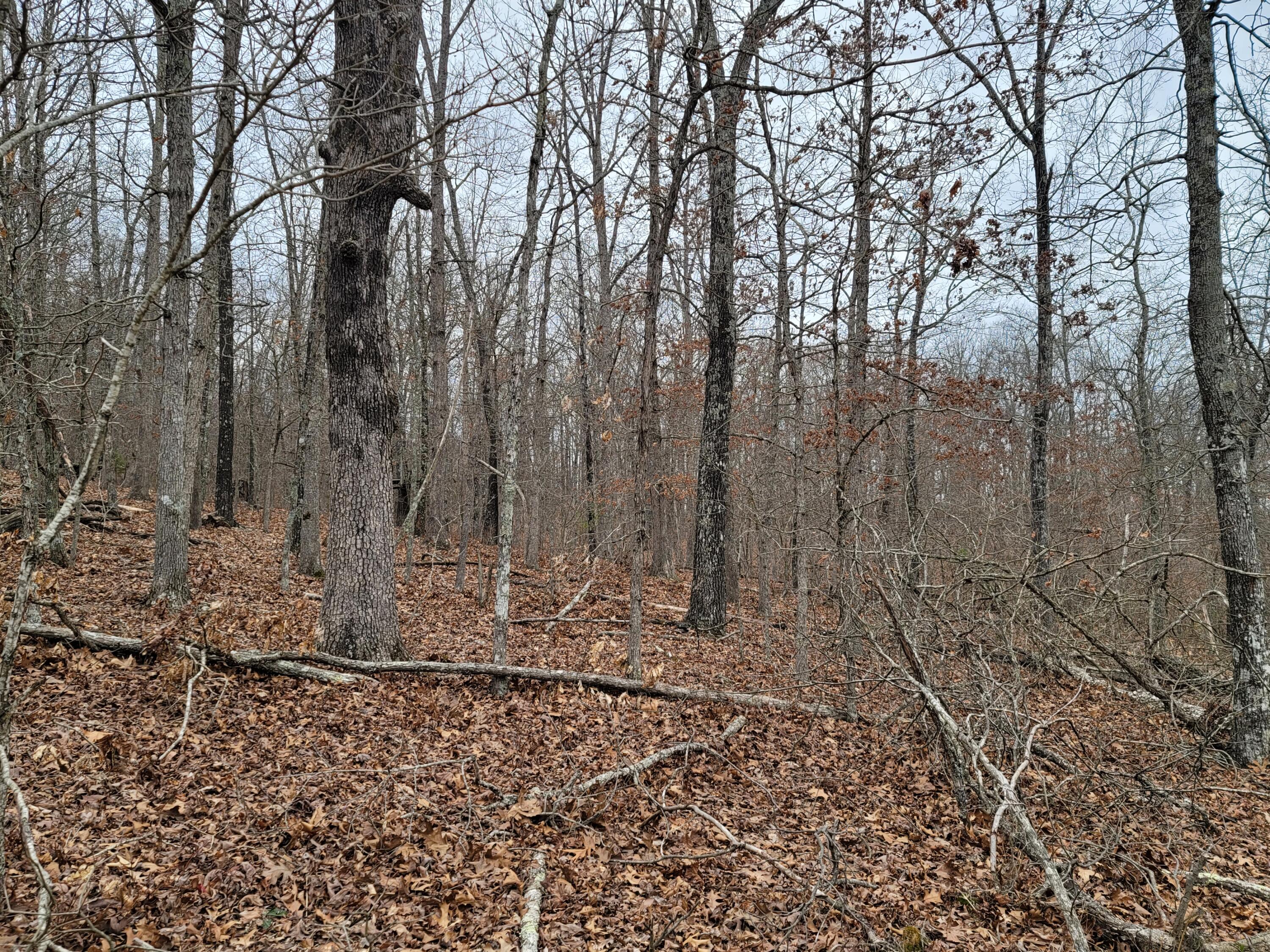000 Ledgewood Rd Property Photo 3