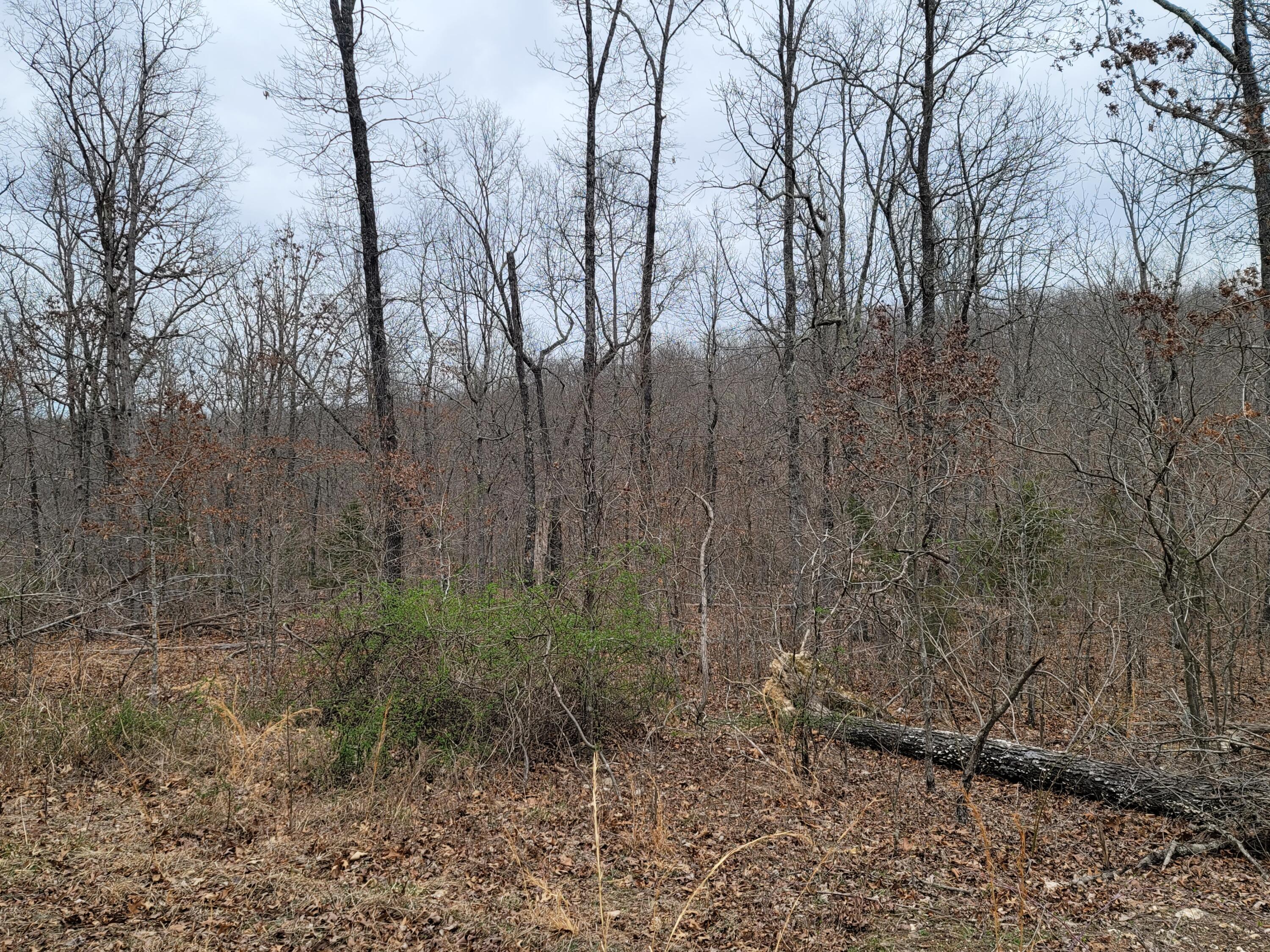 000 Ledgewood Rd Property Photo 4
