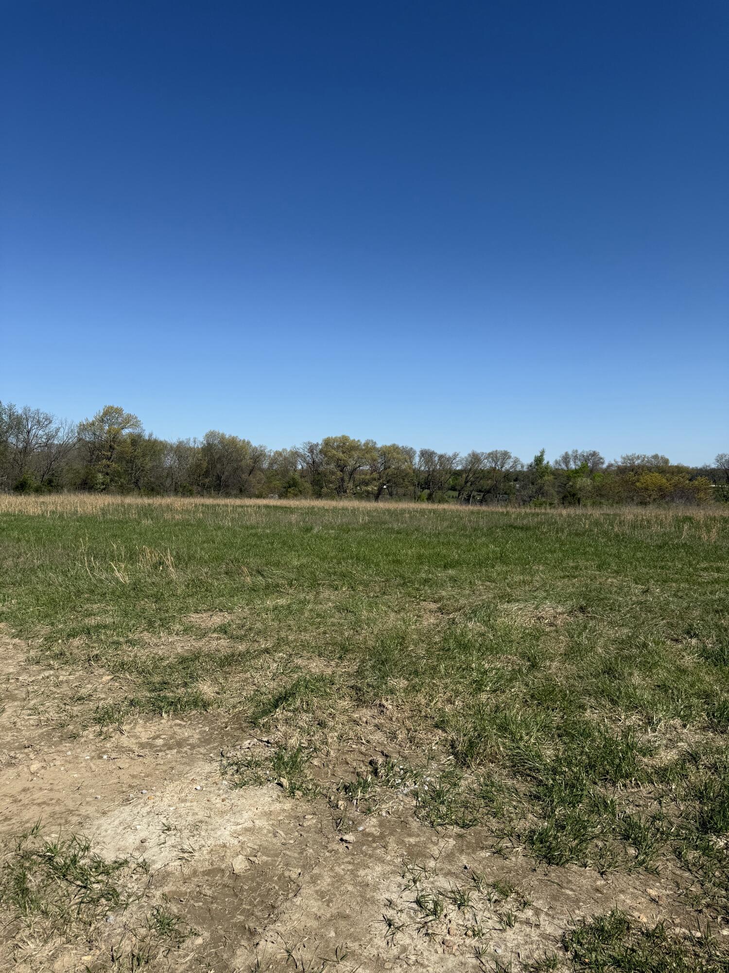 195 Blazing Star Lane Property Photo 3