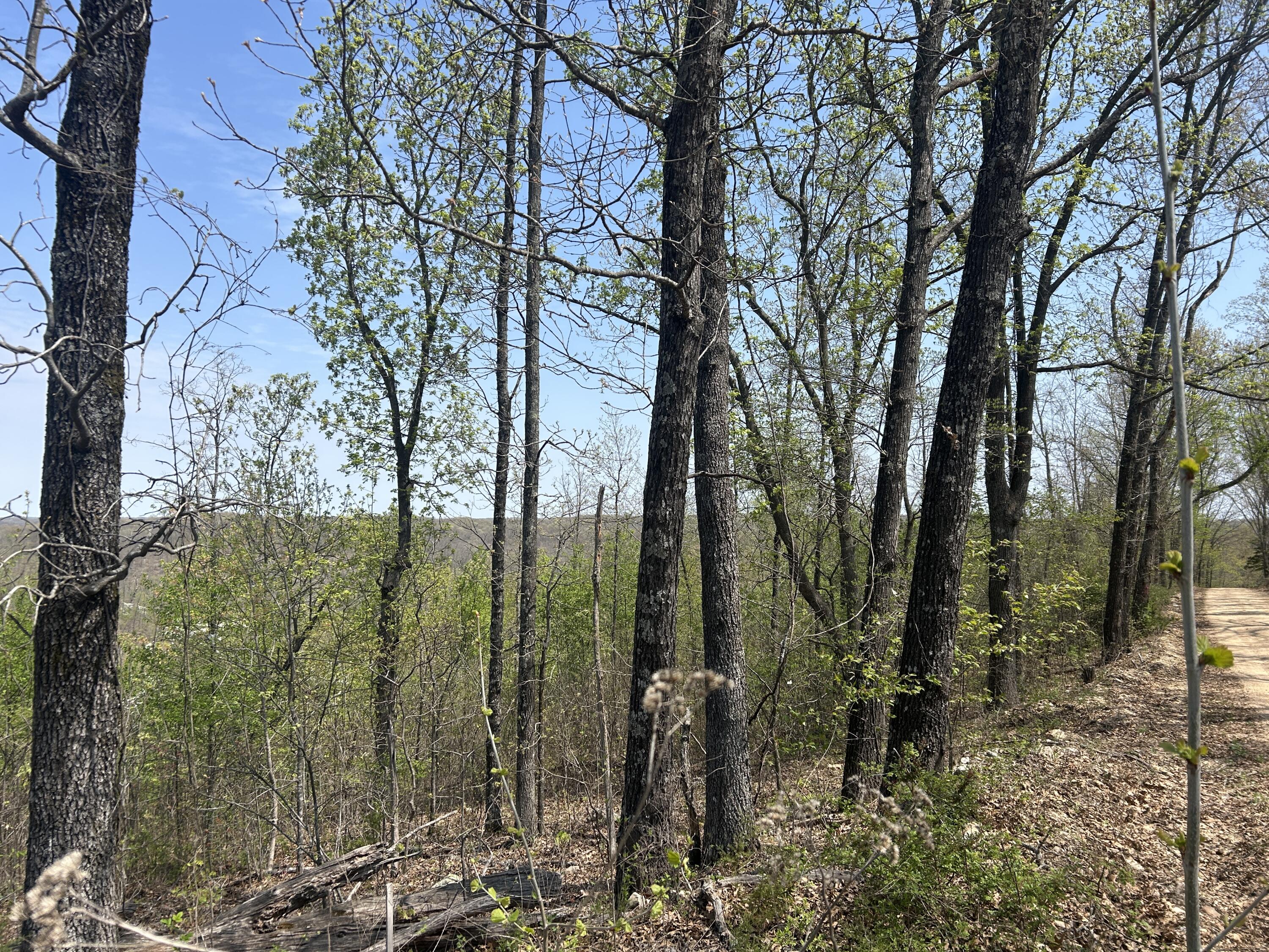 Tbd County Road E 76-126 Property Photo 6