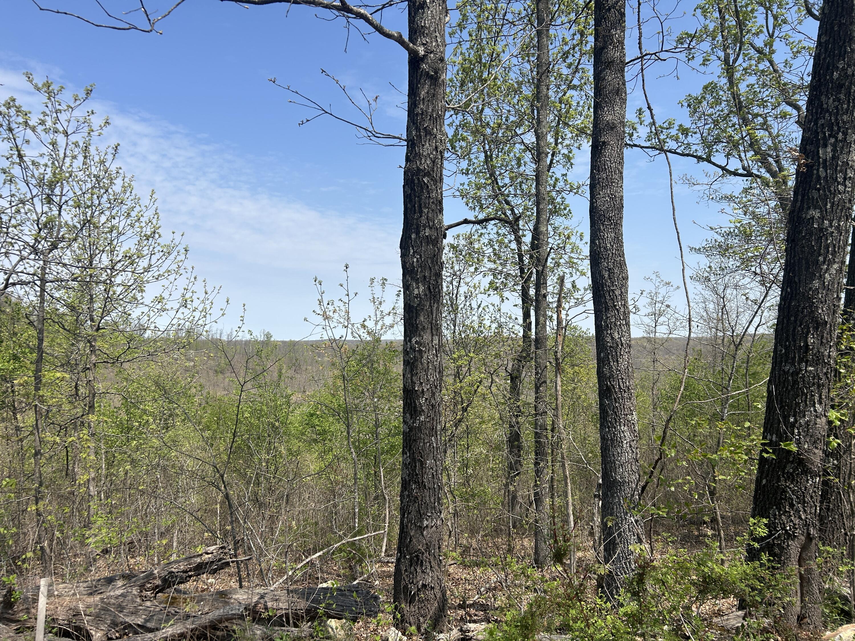 Tbd County Road E 76-126 Property Photo 7