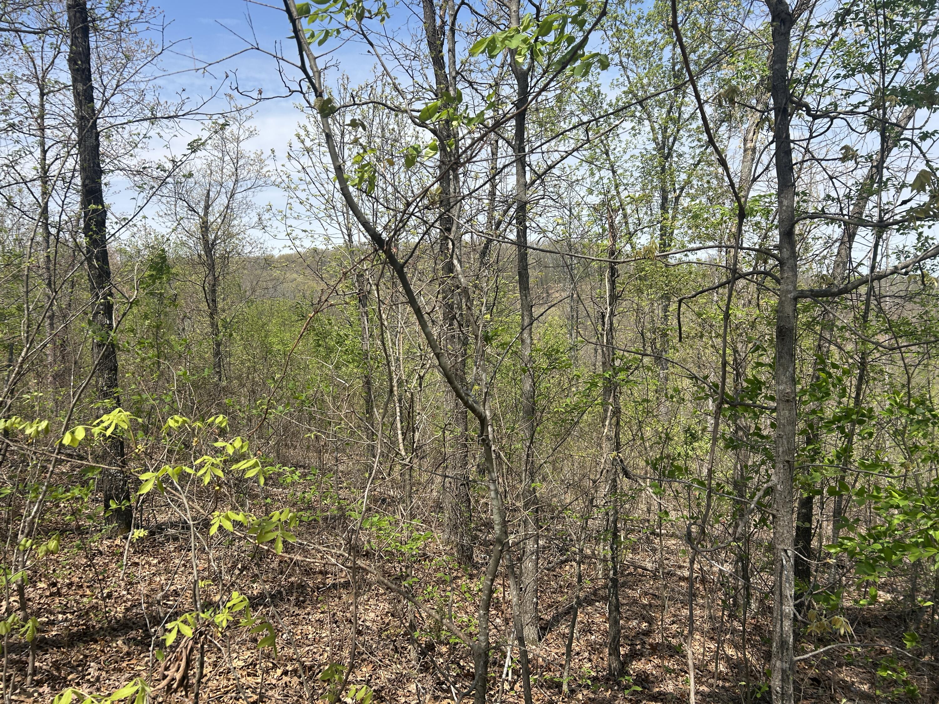 Tbd County Road E 76-126 Property Photo 8