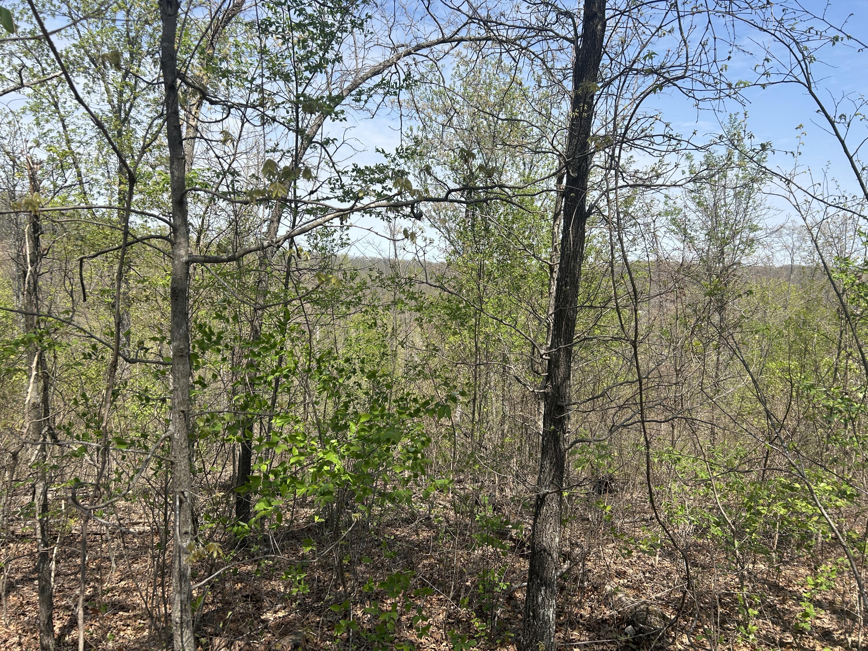 Tbd County Road E 76-126 Property Photo 9