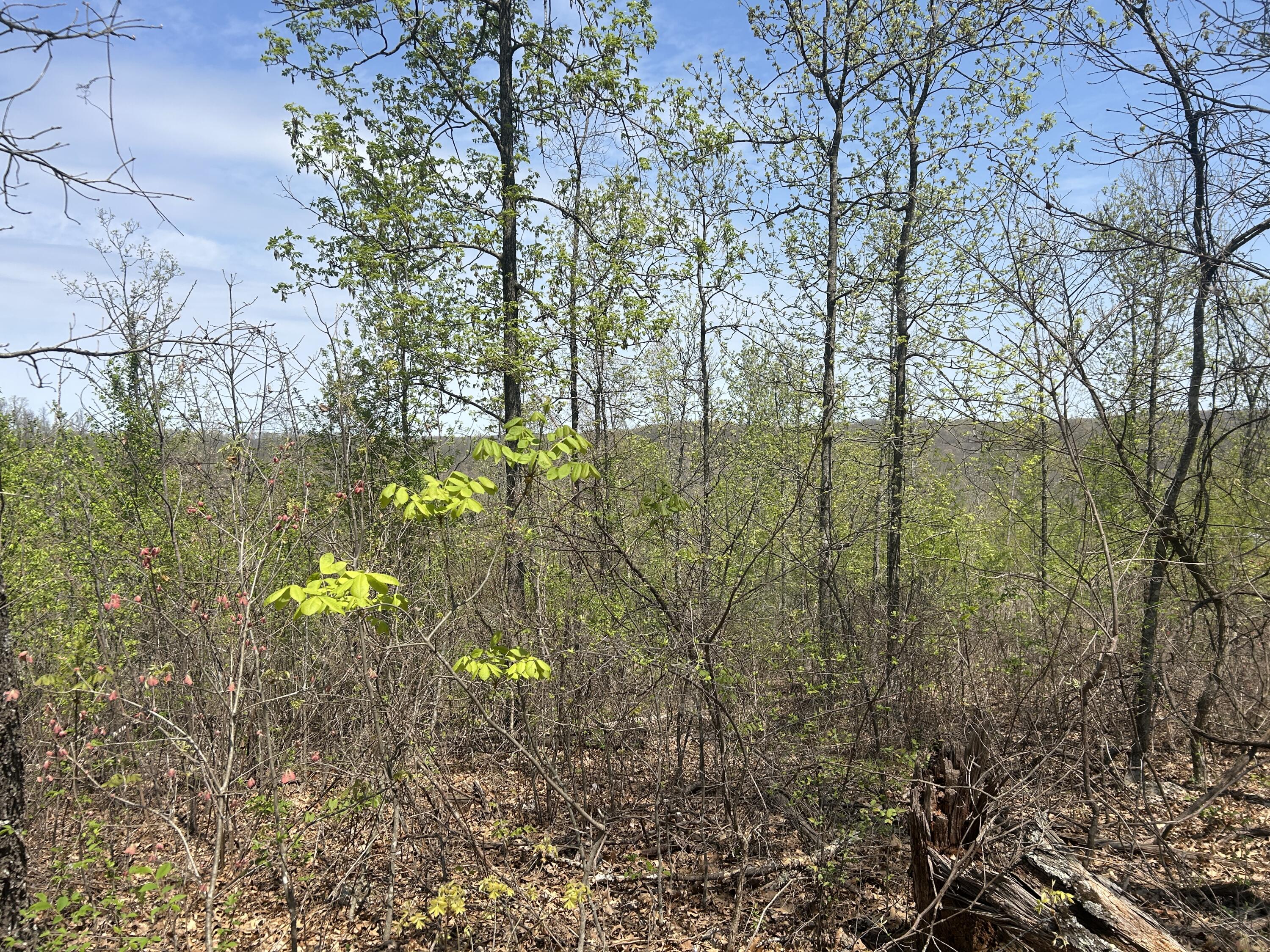 Tbd County Road E 76-126 Property Photo 12