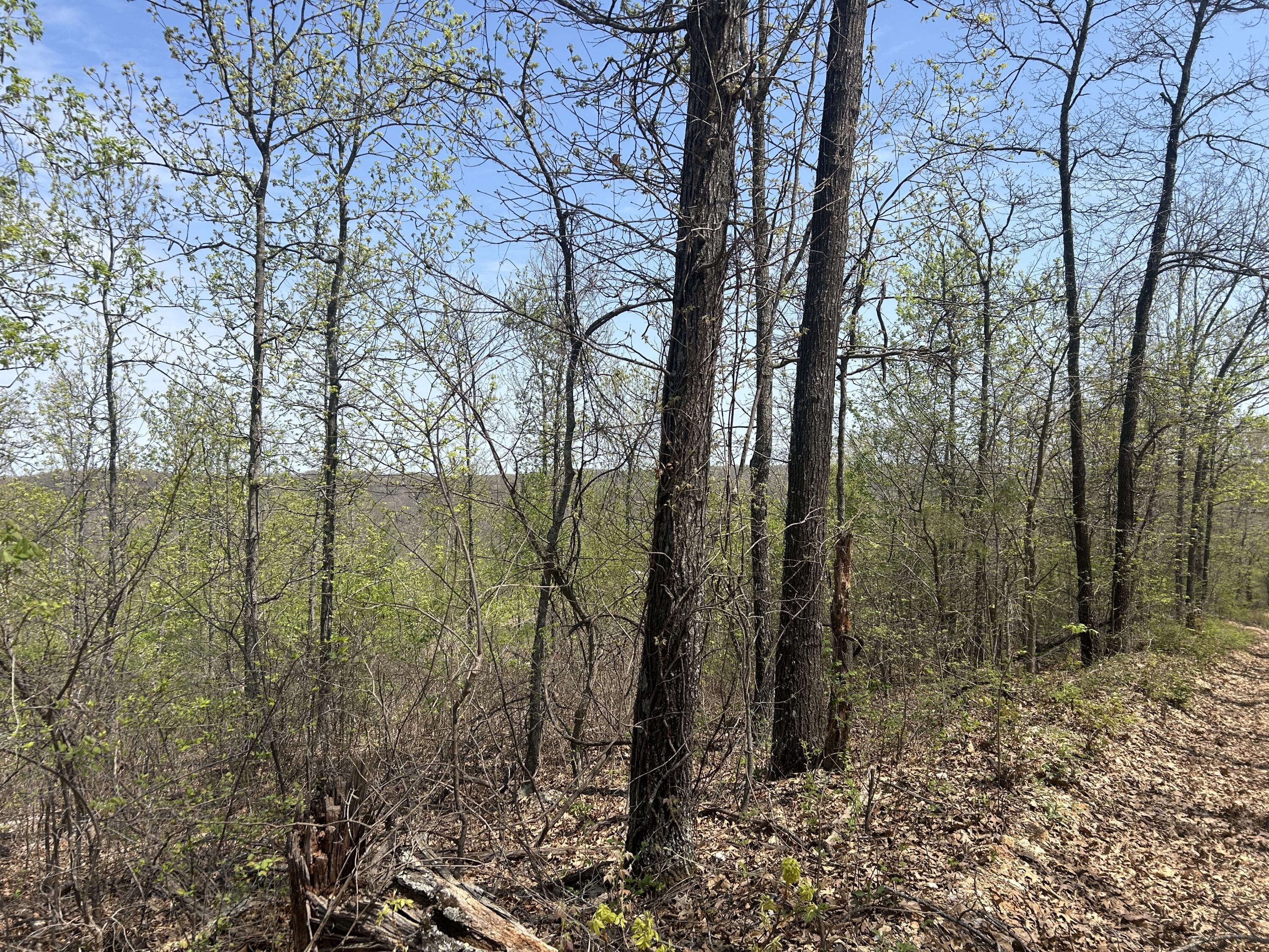 Tbd County Road E 76-126 Property Photo 13