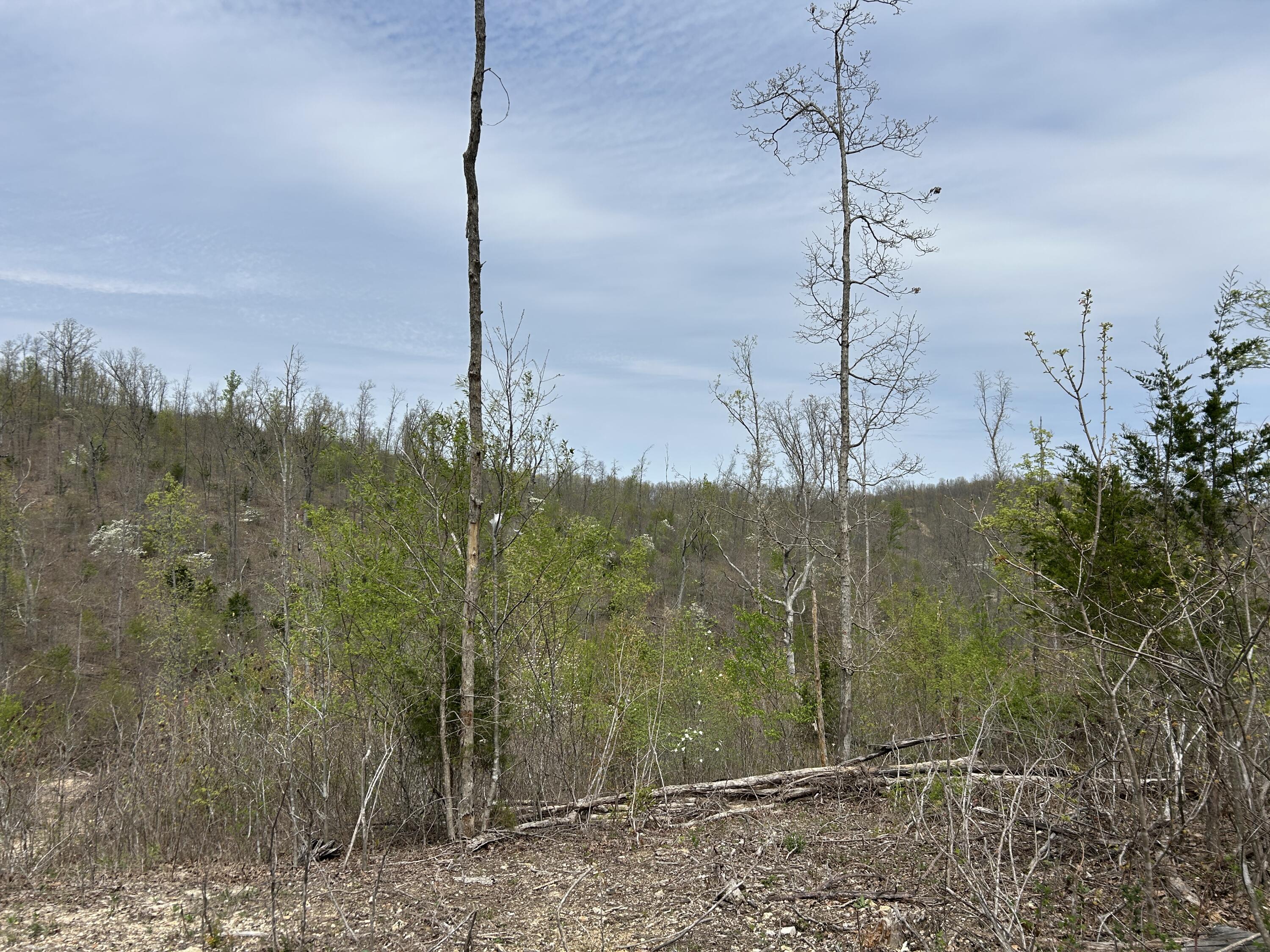 Tbd County Road E 76-126 Property Photo 37