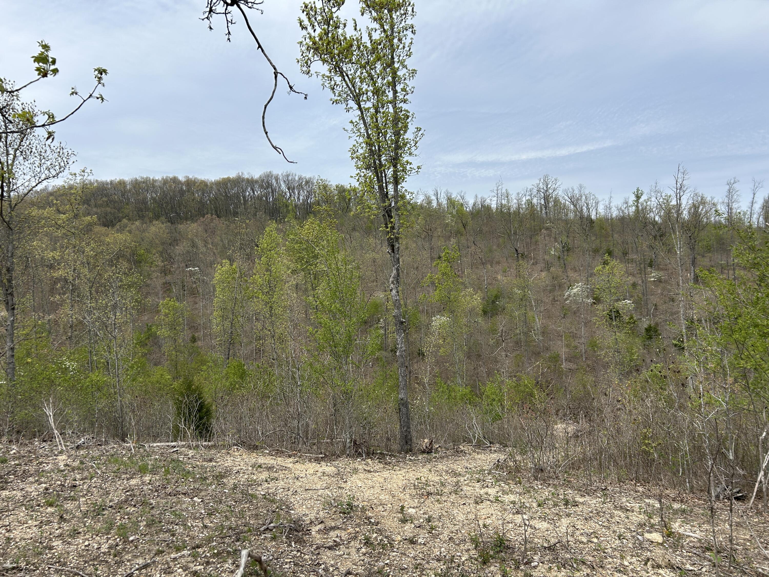 Tbd County Road E 76-126 Property Photo 38