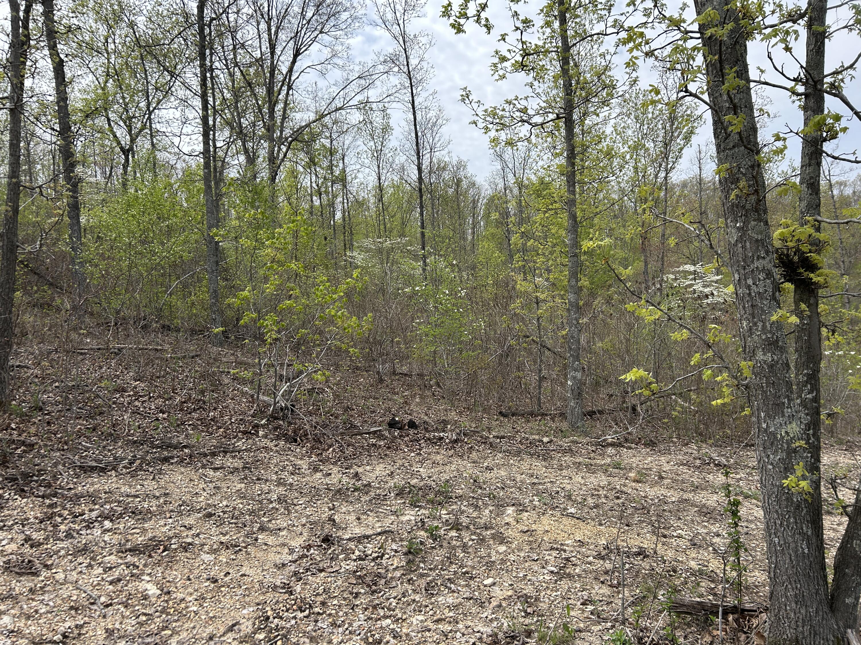 Tbd County Road E 76-126 Property Photo 39
