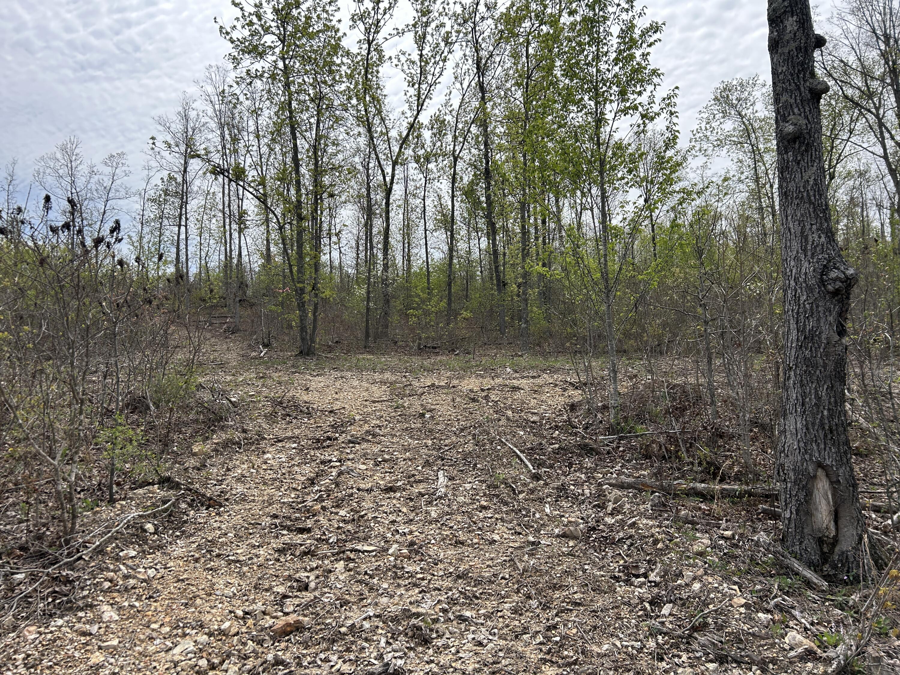 Tbd County Road E 76-126 Property Photo 40