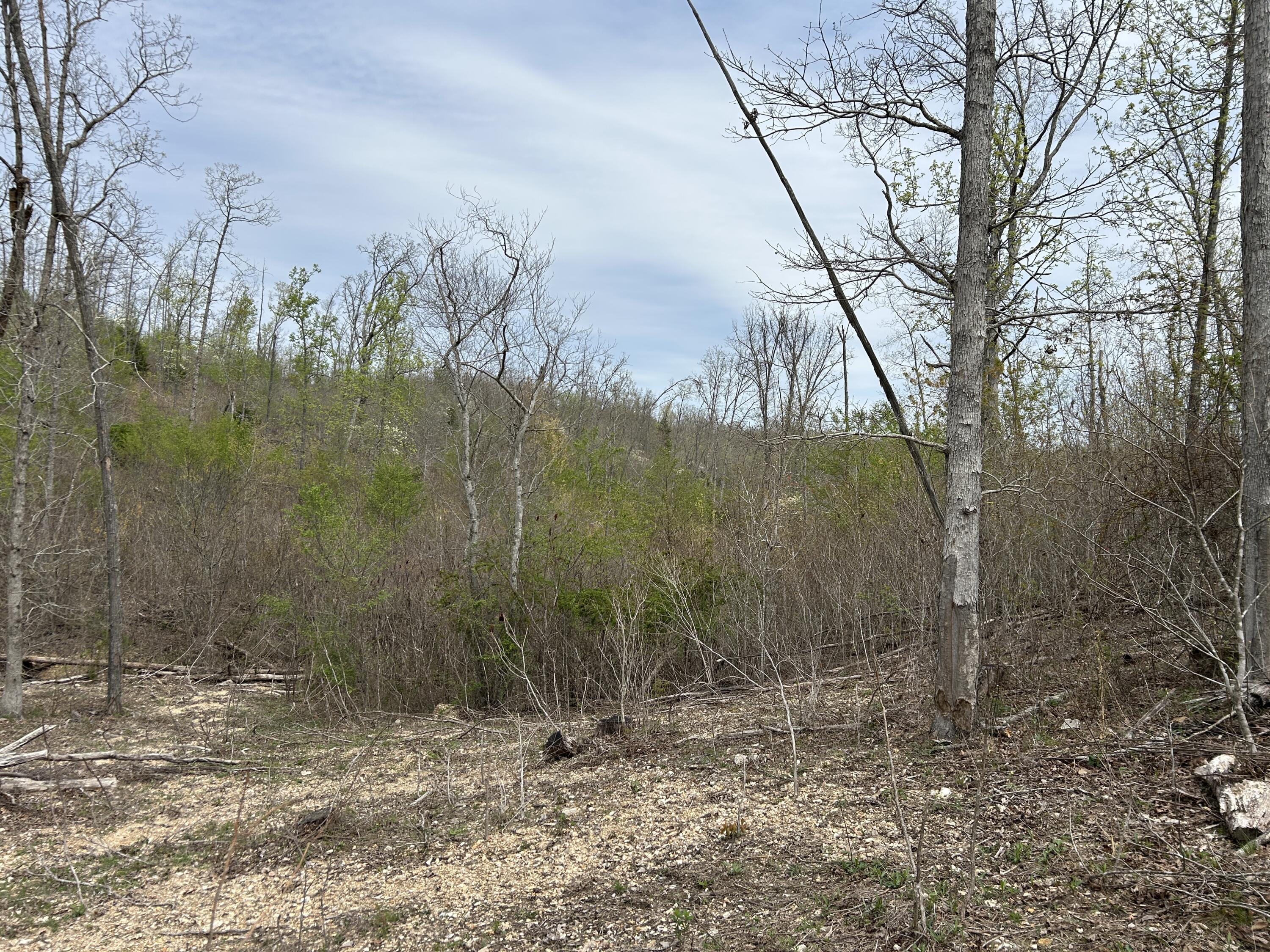 Tbd County Road E 76-126 Property Photo 41