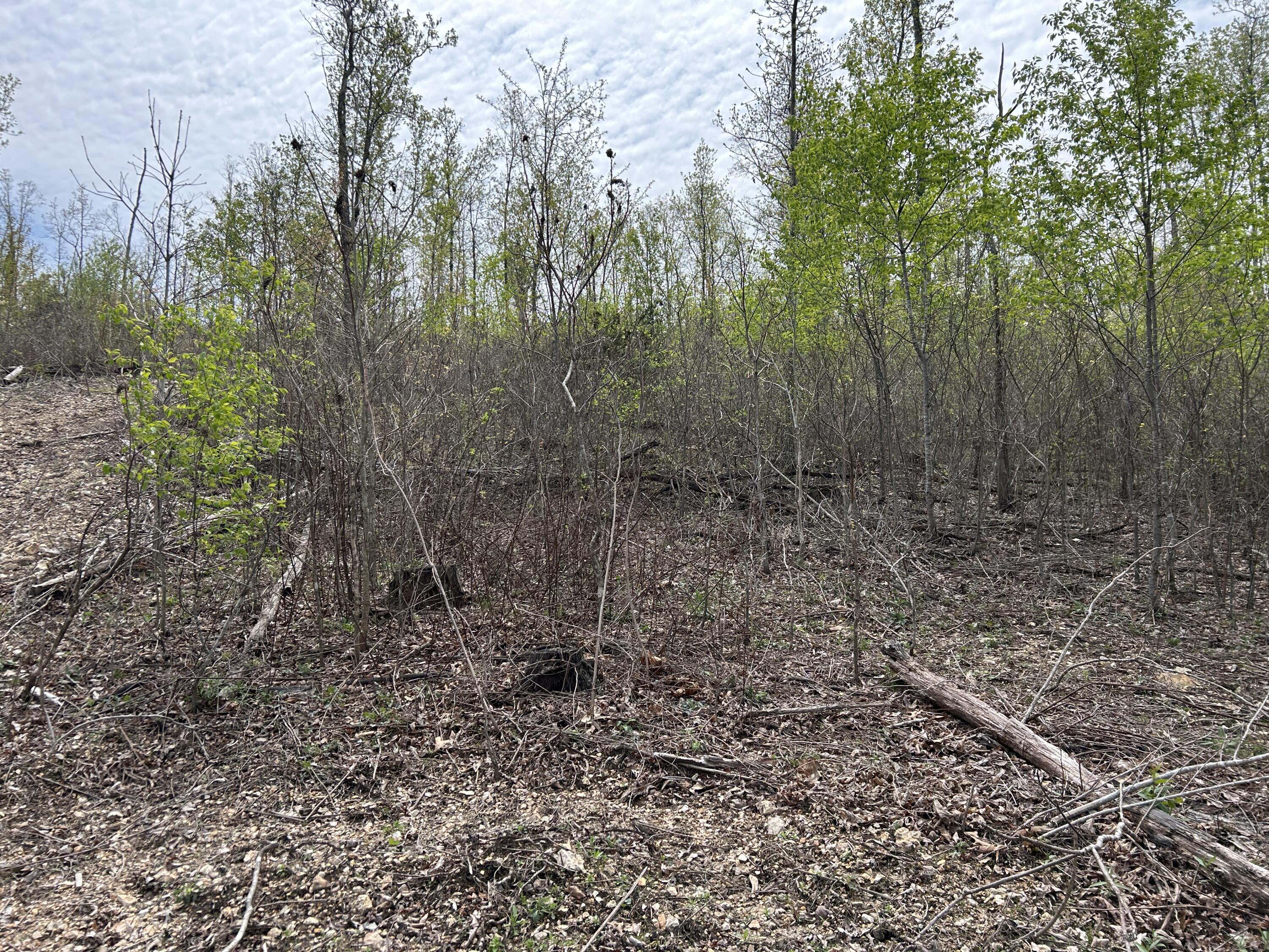 Tbd County Road E 76-126 Property Photo 44