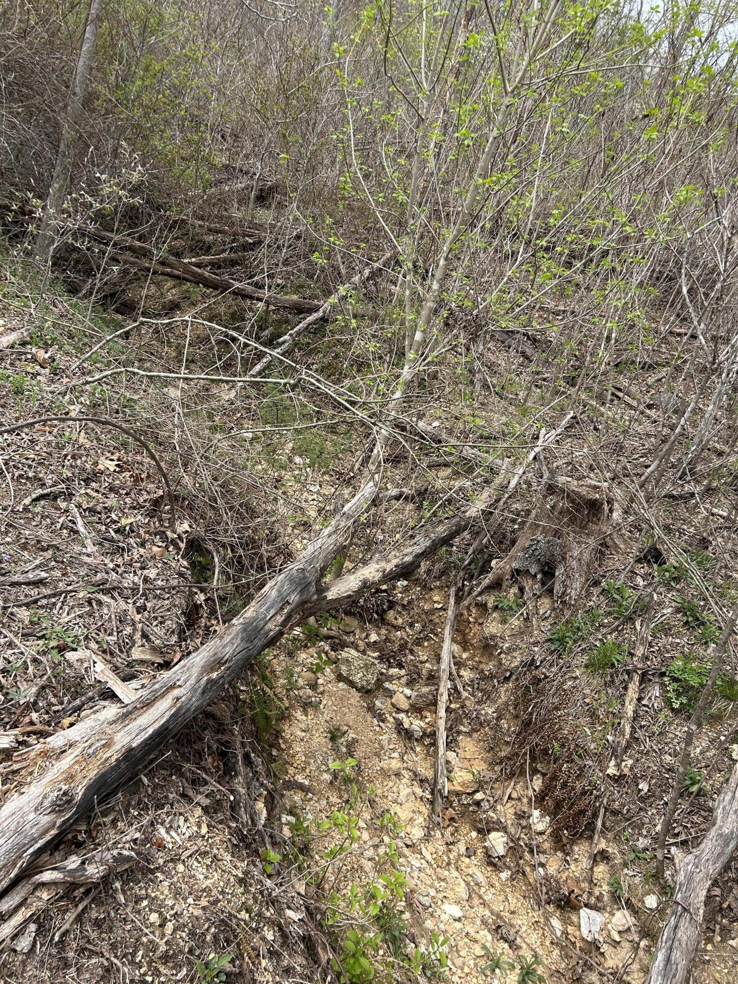 Tbd County Road E 76-126 Property Photo 45