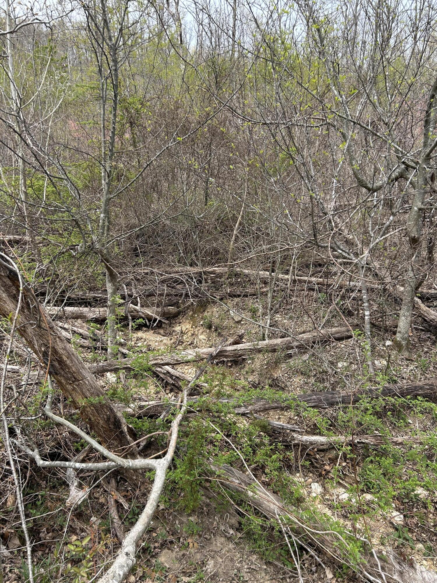 Tbd County Road E 76-126 Property Photo 46