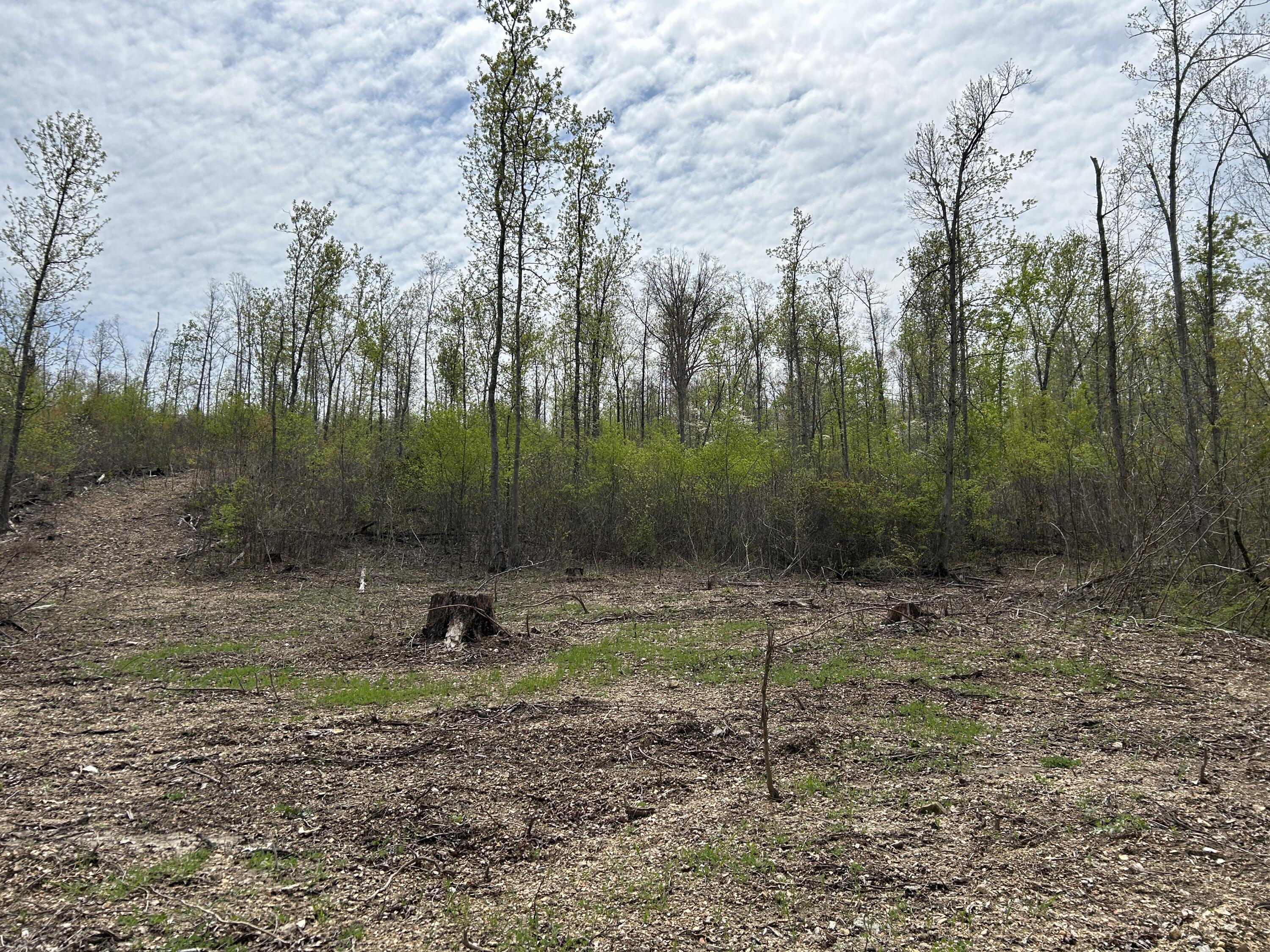 Tbd County Road E 76-126 Property Photo 48