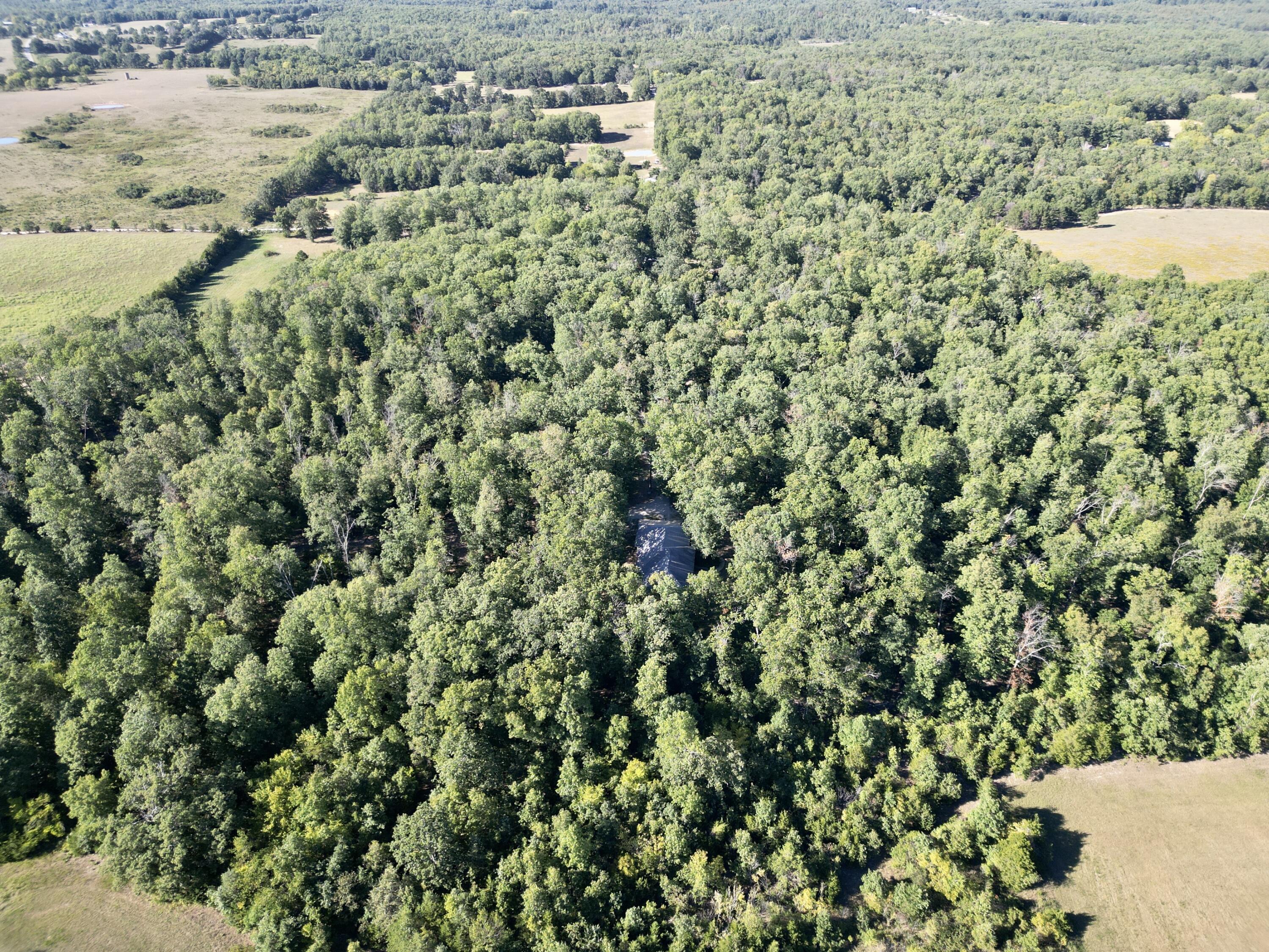 9654 County Road 2680 Property Photo 63